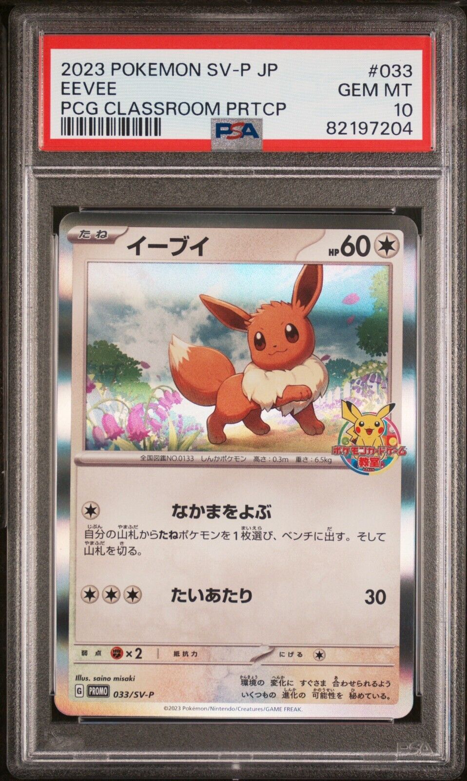 PSA 10 Eevee 033/SV-P Promo PCG Classroom Promo Japanese Pokemon Card